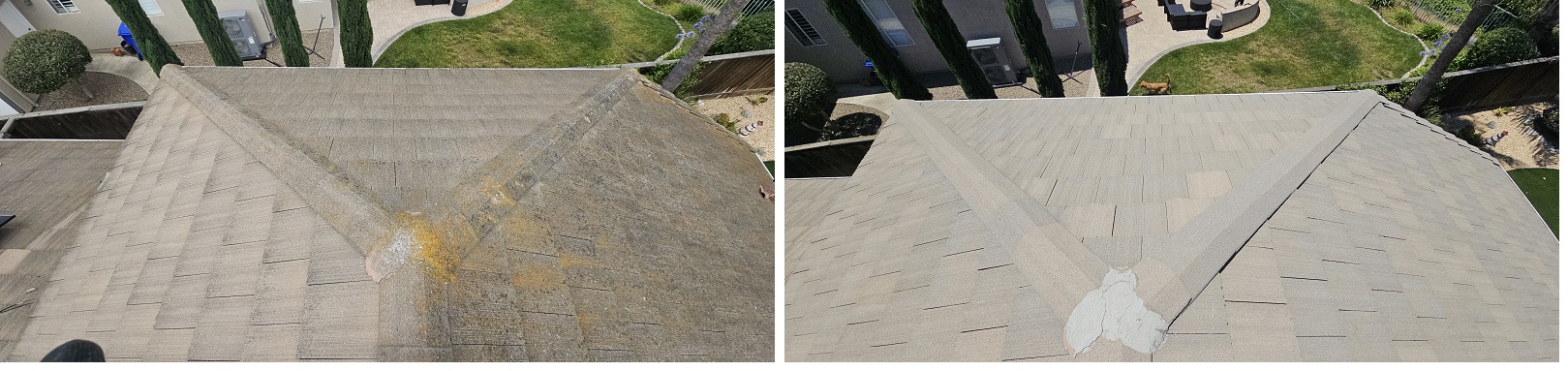 Polsner by Washed Out Pressure Washing