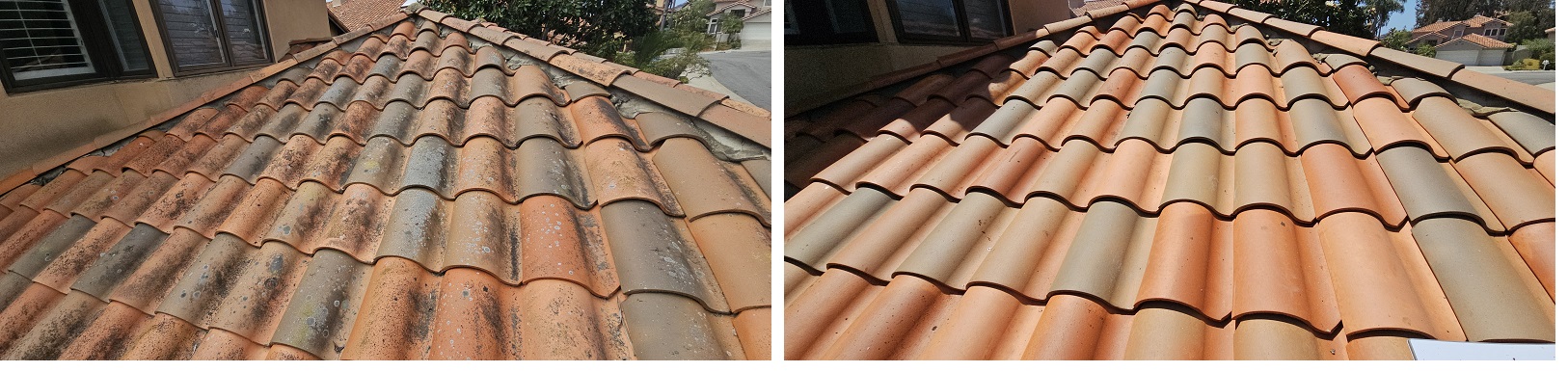 Niednagel by Washed Out Pressure Washing