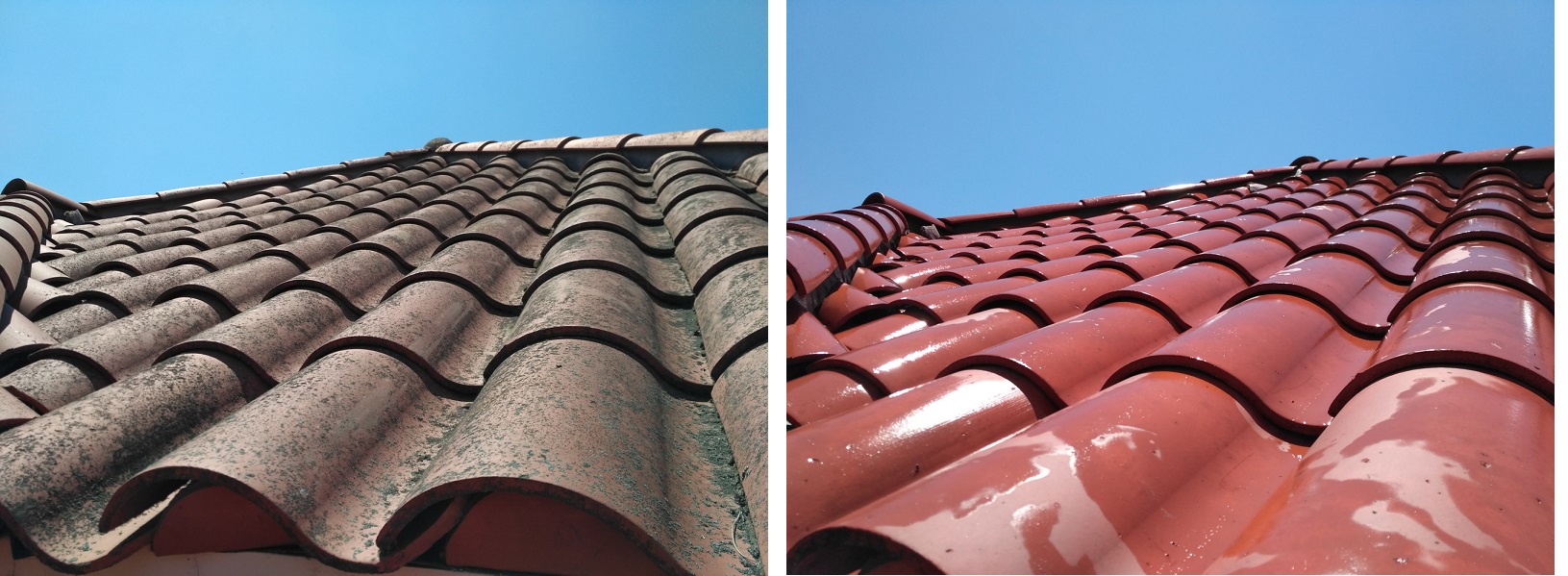 Clay Tile Softwash by Washed Out Pressure Washing