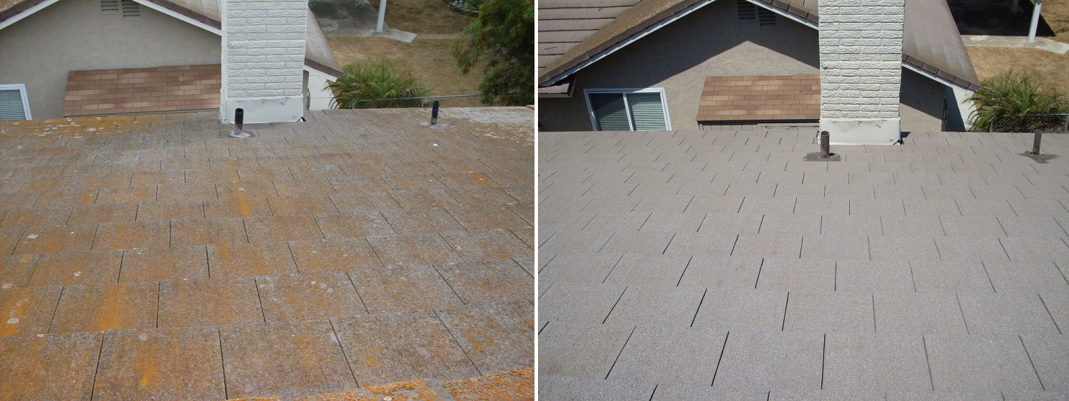 Big Sur Roof by Washed Out Pressure Washing