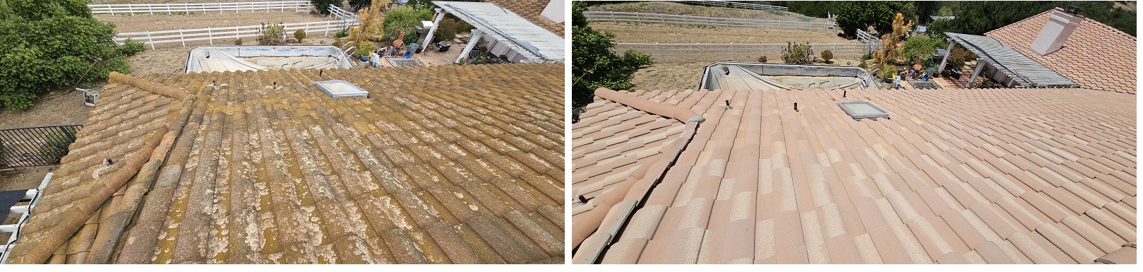 Larsen by Washed Out Pressure Washing