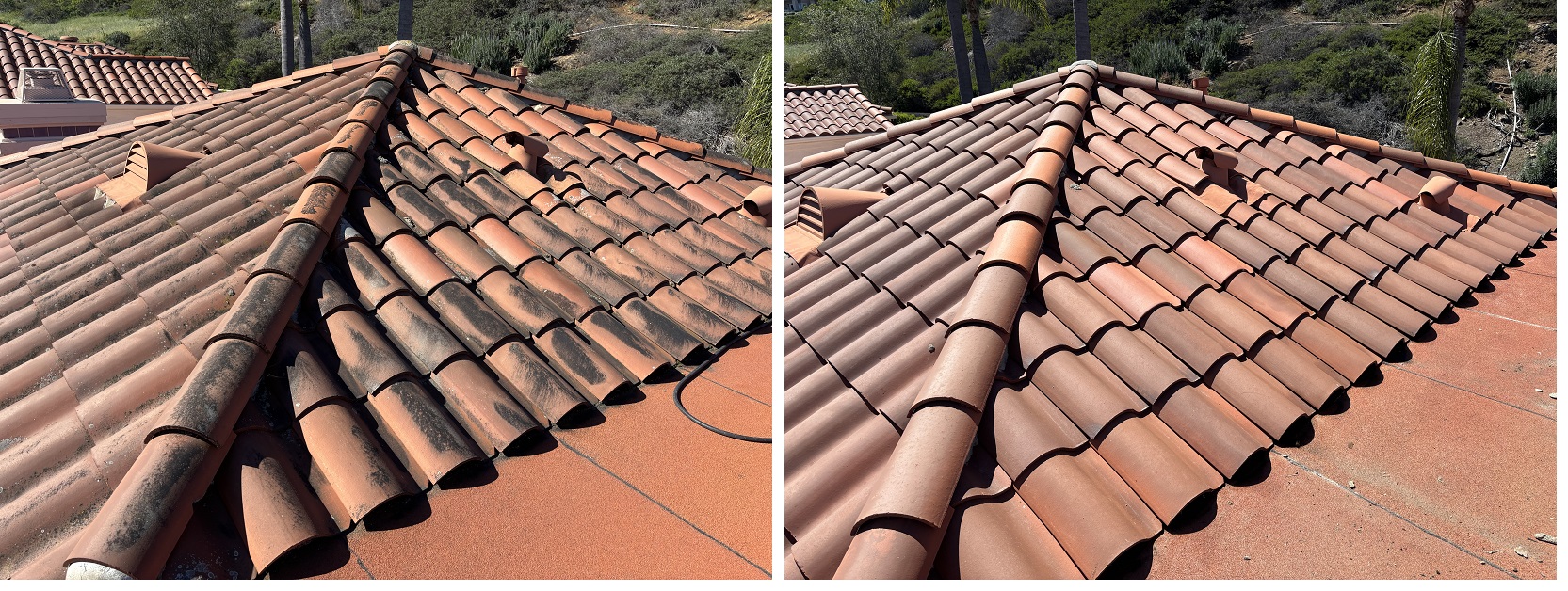 The Colony by Washed Out Pressure Washing