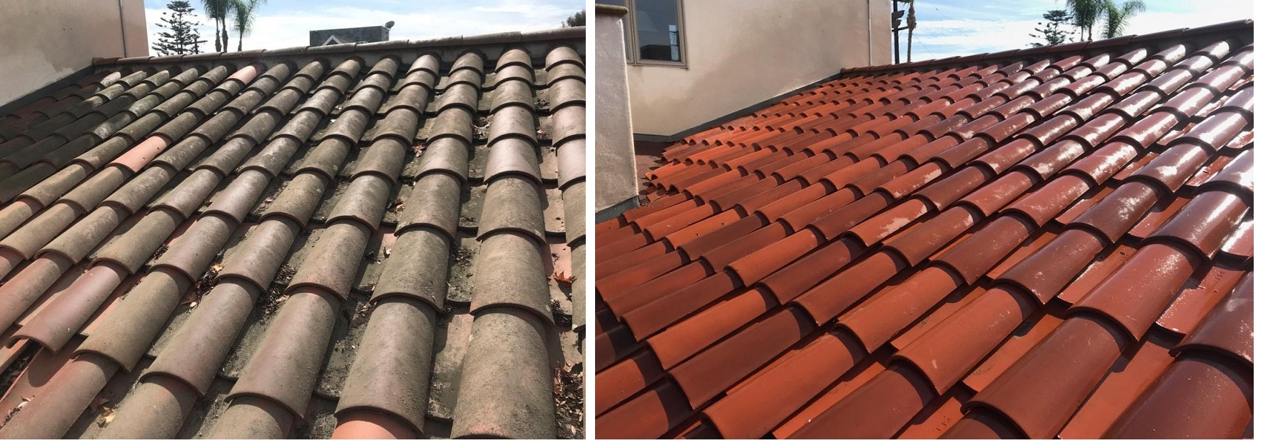 Clay Tile Softwash by Washed Out Pressure Washing
