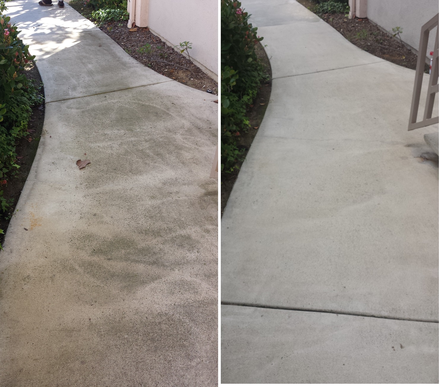 Ritz Walkway by Washed Out Pressure Washing