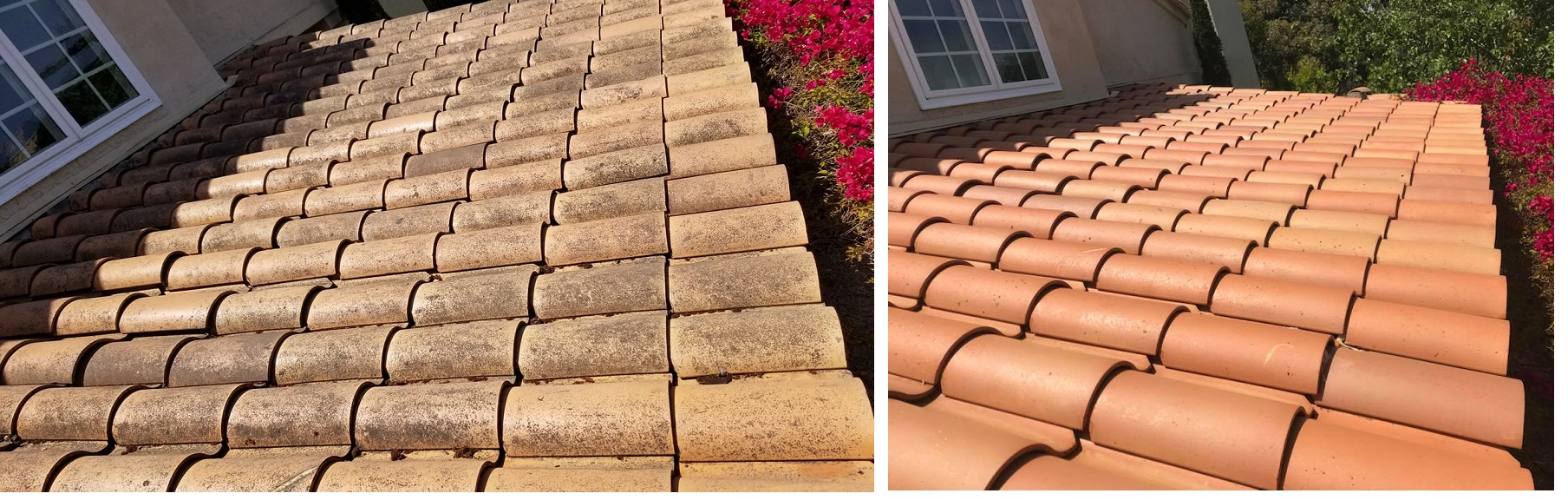Clay Tile Softwash by Washed Out Pressure Washing