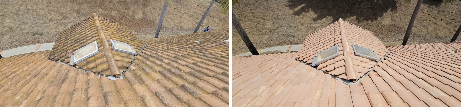 Larsen by Washed Out Pressure Washing