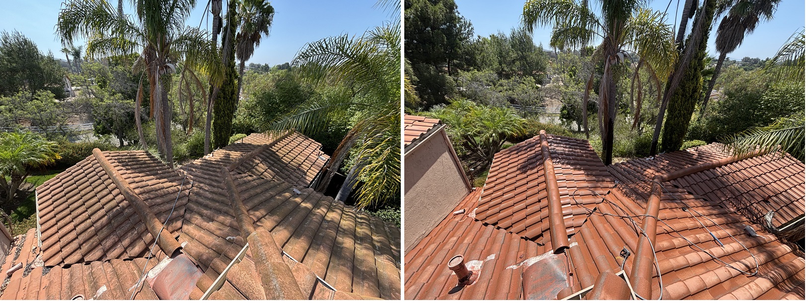 Thorogood by Washed Out Pressure Washing
