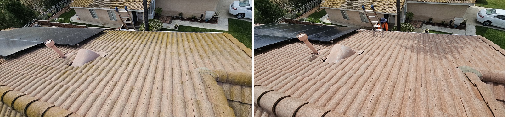Kumari by Washed Out Pressure Washing