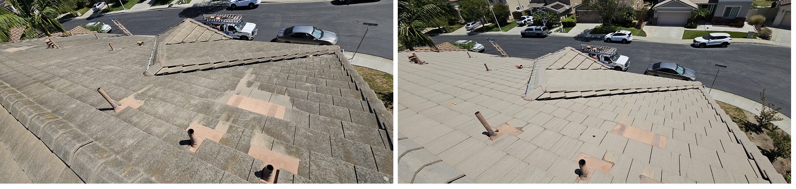 Cruz by Washed Out Pressure Washing