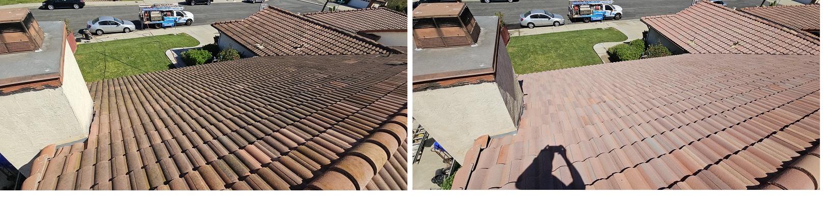 Pirozzi by Washed Out Pressure Washing