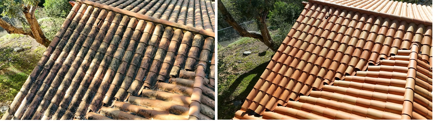 Martin by Washed Out Pressure Washing