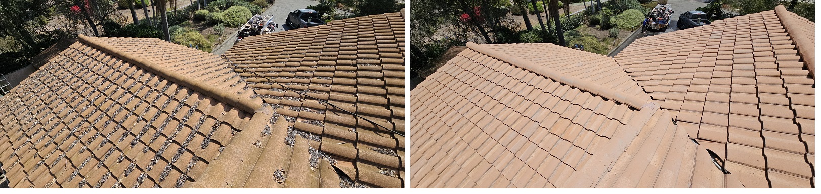 Thorogood by Washed Out Pressure Washing