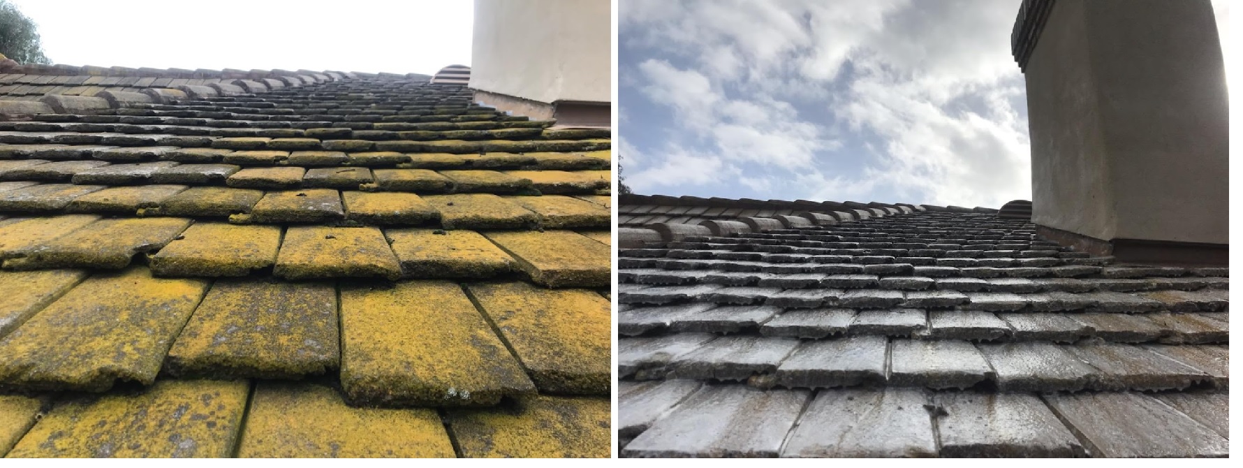 Flat Tile Softwash During by Washed Out Pressure Washing