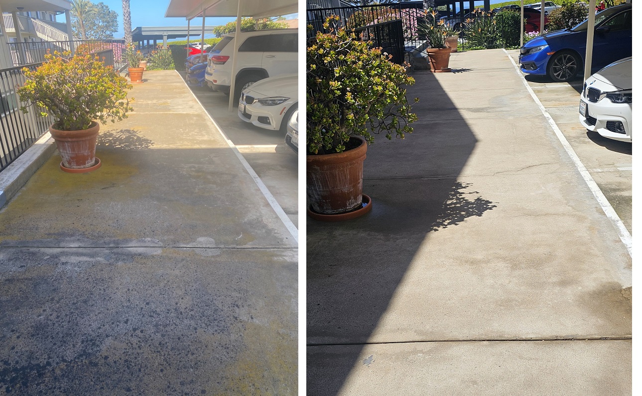 Walkway by Washed Out Pressure Washing