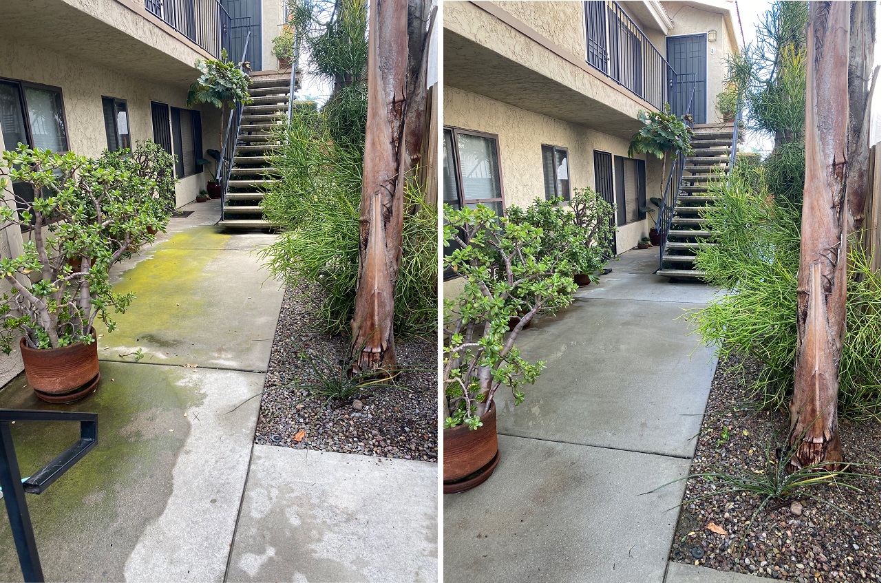 Walkway by Washed Out Pressure Washing