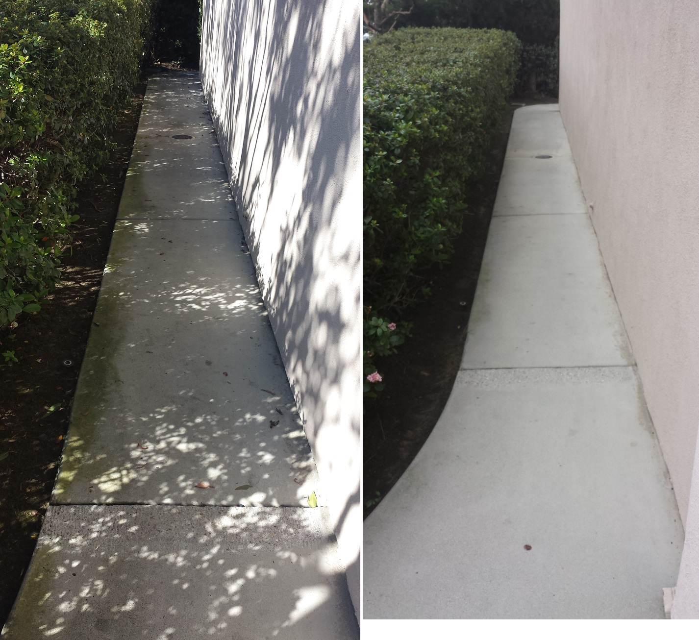 Ritz Walkway by Washed Out Pressure Washing