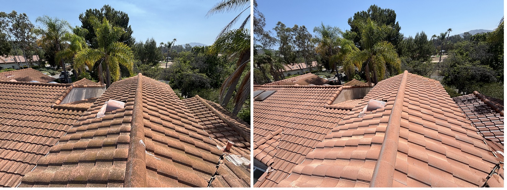 Thorogood by Washed Out Pressure Washing